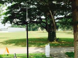 Yew Lian Park (D20), Terrace #67410112